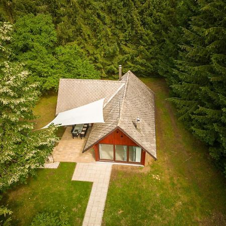 Cebelnk: Sanjska Hisica 4 Km Od Bleda Villa Lesce  Exterior photo